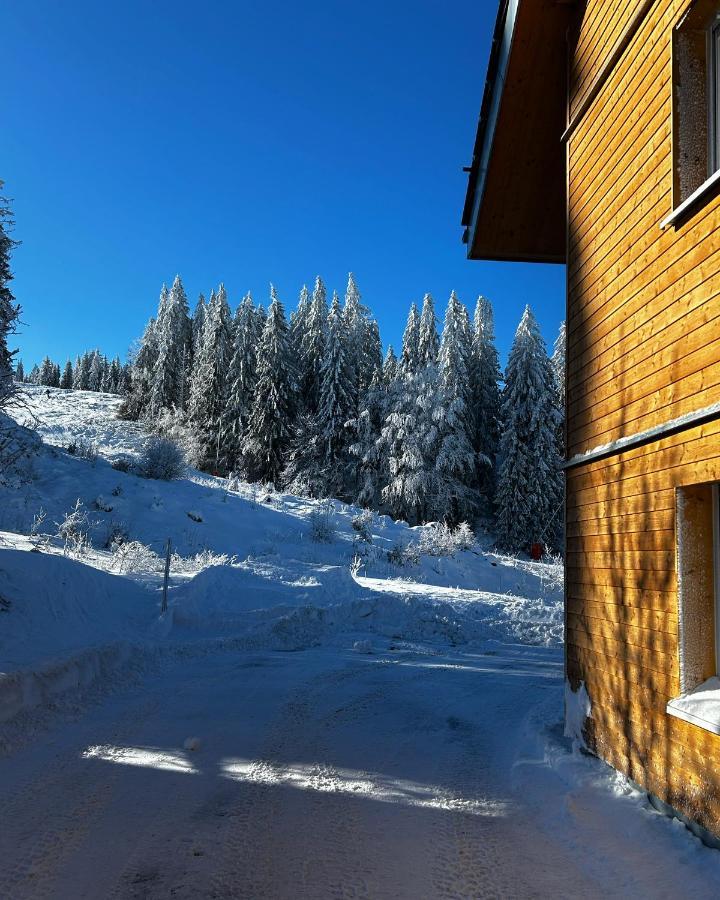 Feldberg Apartment - Direkt An Der Skipiste - Mit Sauna Εξωτερικό φωτογραφία