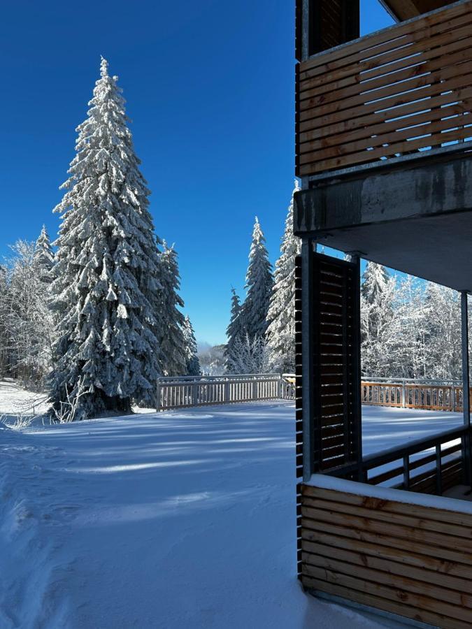 Feldberg Apartment - Direkt An Der Skipiste - Mit Sauna Εξωτερικό φωτογραφία