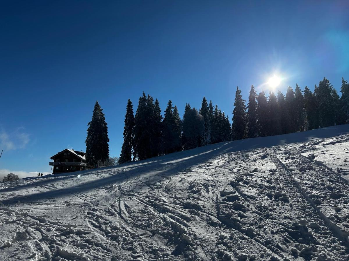 Feldberg Apartment - Direkt An Der Skipiste - Mit Sauna Εξωτερικό φωτογραφία