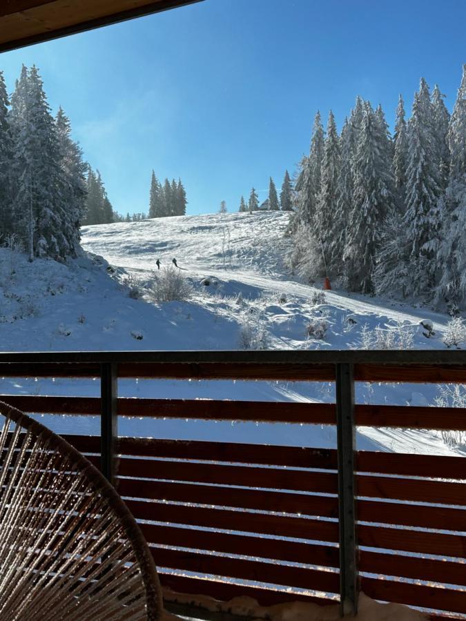 Feldberg Apartment - Direkt An Der Skipiste - Mit Sauna Εξωτερικό φωτογραφία